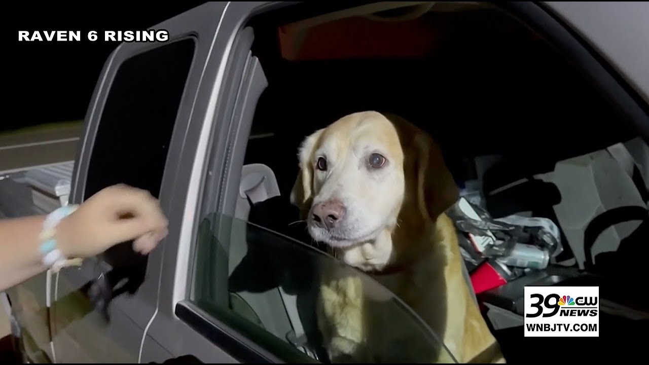 Emotional reunion between man and dog after tornado disaster