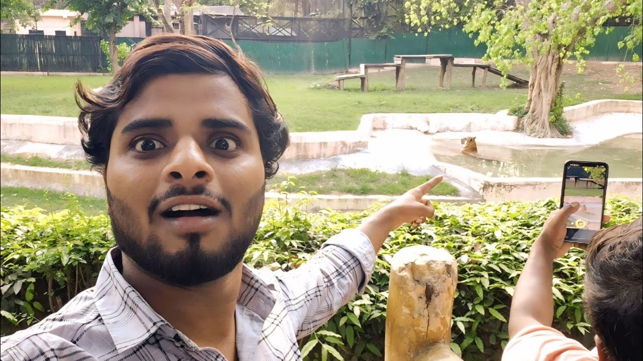 Zoo me tiger dikh gya. 😱