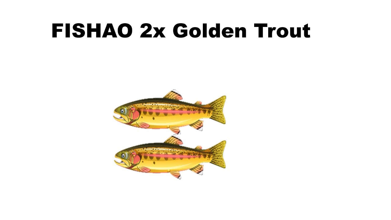 FISHAO 2x Golden Trout