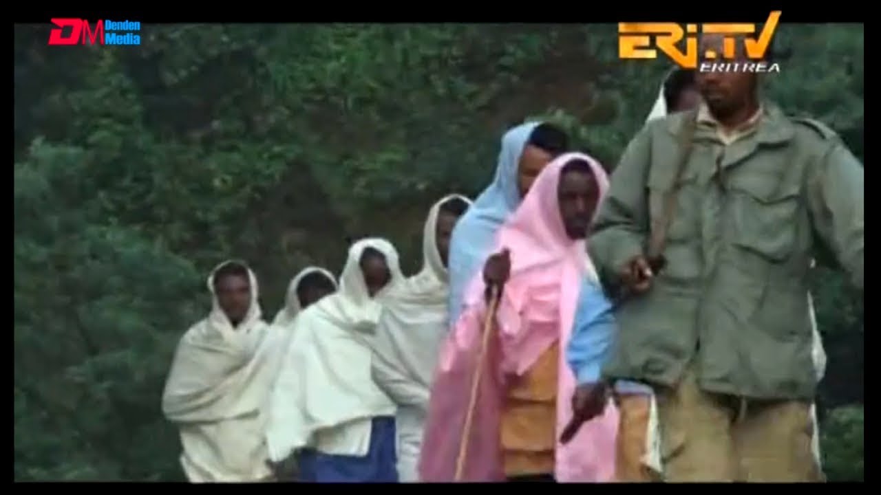 ERi TV True Story: ገድሊ ንገድሊ - ዛንታ 800 መንእሰያት ናብ ገድሊ ክጽንበሩ ዘሕለፍዎ መሪር ጉዕዞ -  The Long Journey