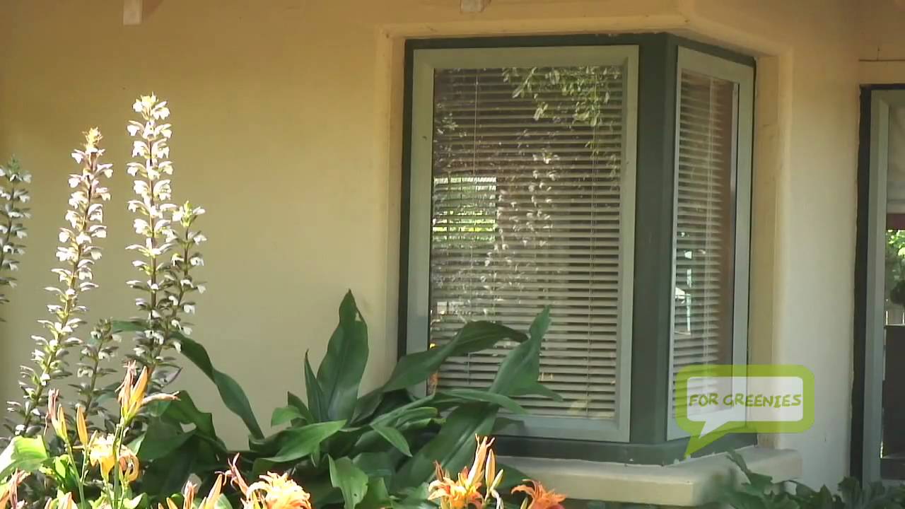 The Rammed Earth House Interview with Award Winning Master Builder Don Parkes HD