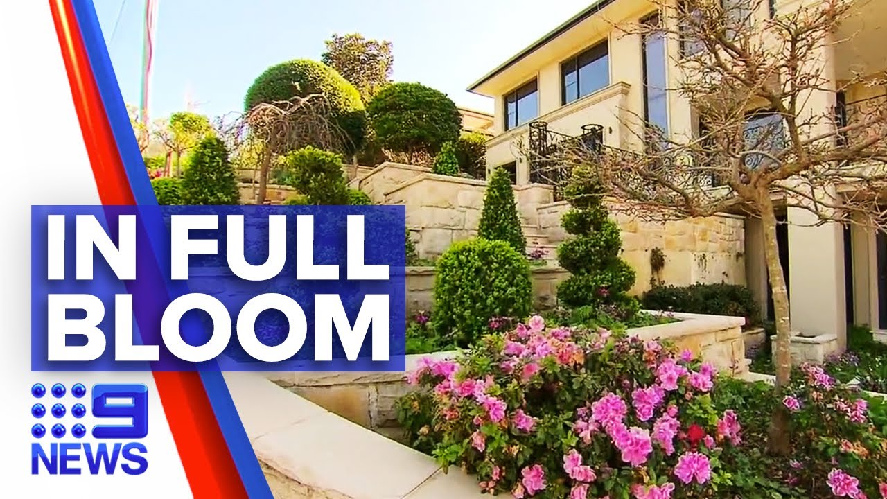 Sydney&rsquo;s best garden thriving during pandemic | 9 News Australia