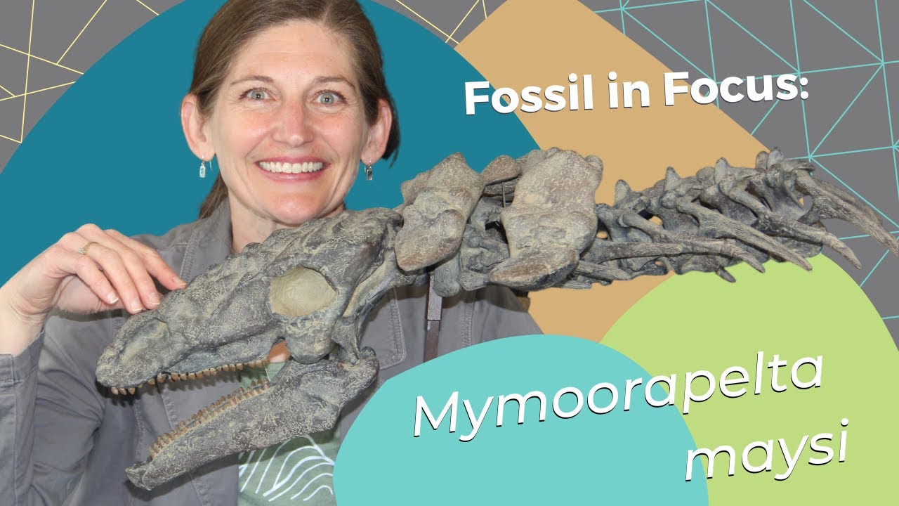 Fossil in Focus: Mymoorapelta maysi