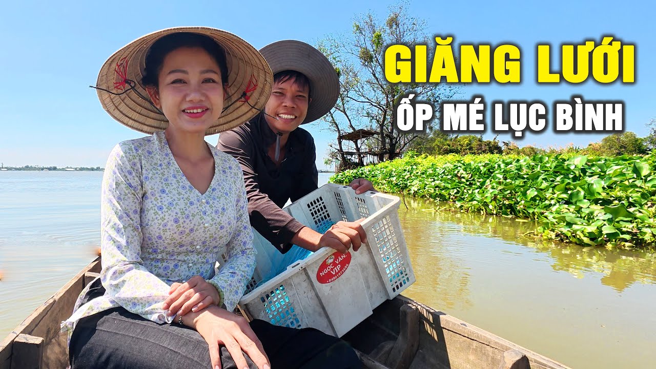 🔴 Trúng Bầy Cá To Khi Giăng Lưới Ốp Mé Lục Bình | Cẩm Hằng