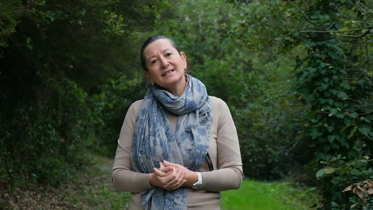 Güven - 9 Mindfulness Tutumu Programı #mindfulness #9mindfulnesstutumu #guven