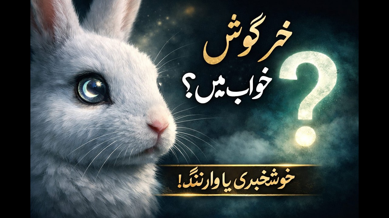 Khargosh Ki Zindagi Aur Khwab Ki Taabeer | Rabbit Documentary | Kamzor Ya Zeheen?