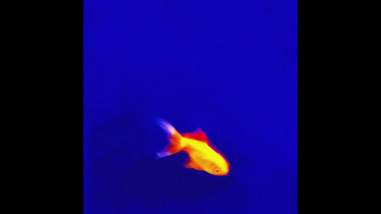 Harry Nach - Zeppelin (Flints)