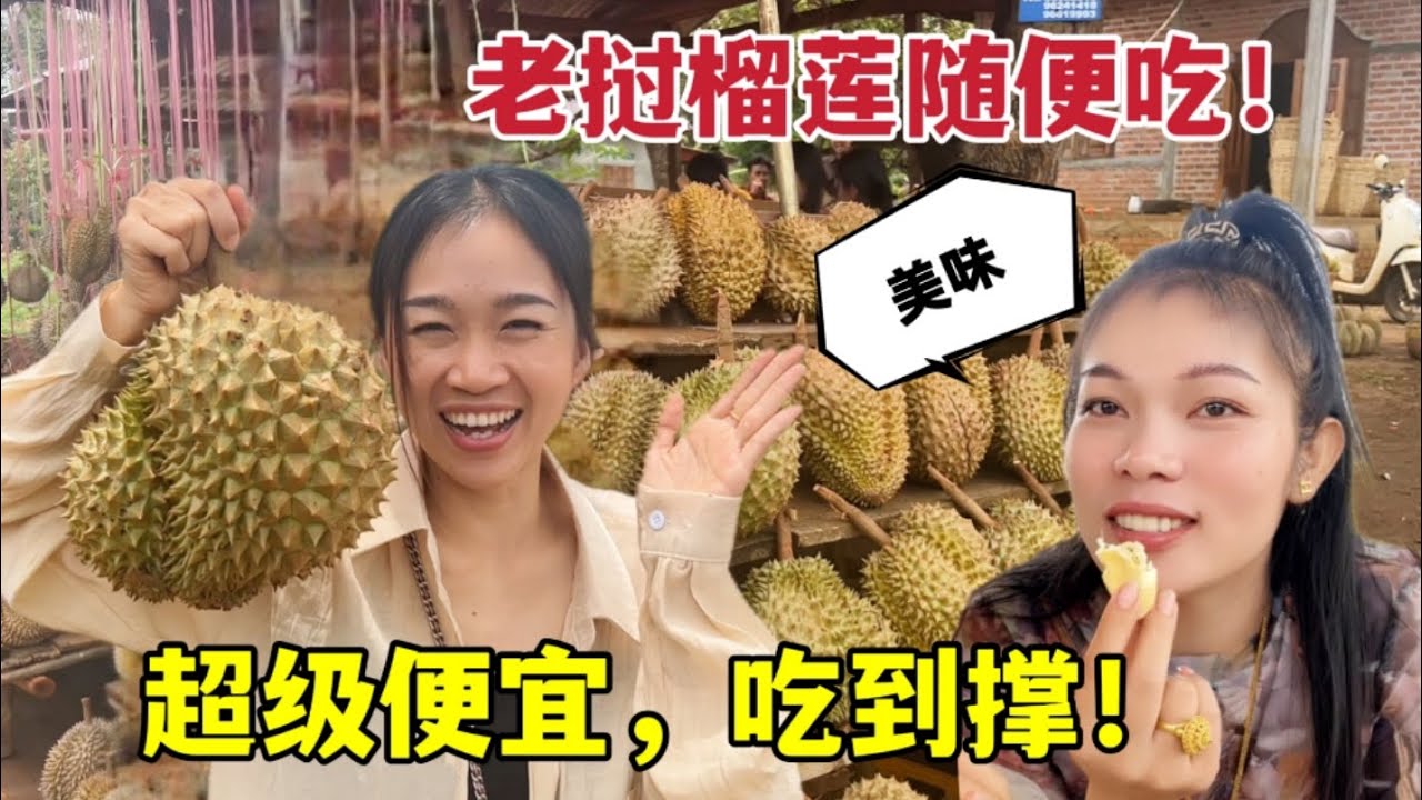 在老撾實現吃榴蓮自由，7塊錢一斤，吃到撐的走不動：太過癮了！