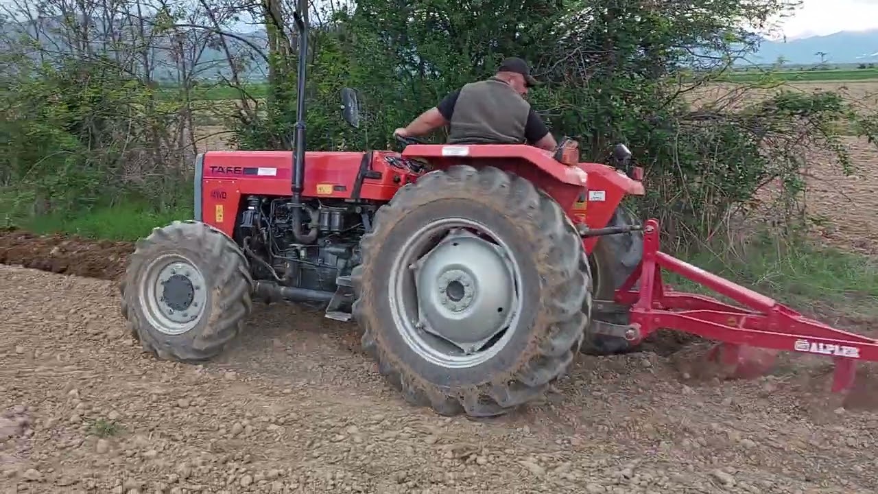 TAFE 45 DI ORANJE PLOWING 2025 ZULBEAR OSMANOSKI