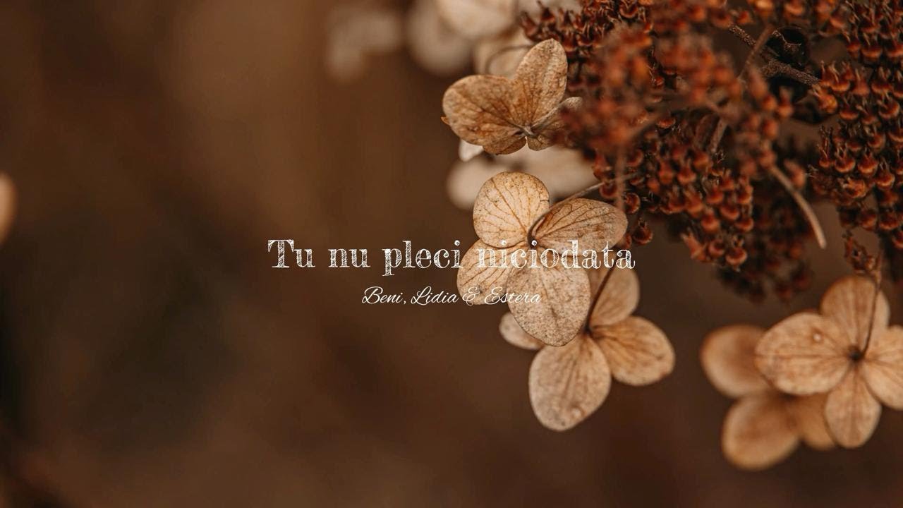 ʙᴇɴɪ, ʟɪᴅɪᴀ & ᴇsᴛᴇʀᴀ șᴀɴᴅʀᴜ | ᴛᴜ ɴᴜ ᴘʟᴇᴄɪ ɴɪᴄɪᴏᴅᴀᴛă