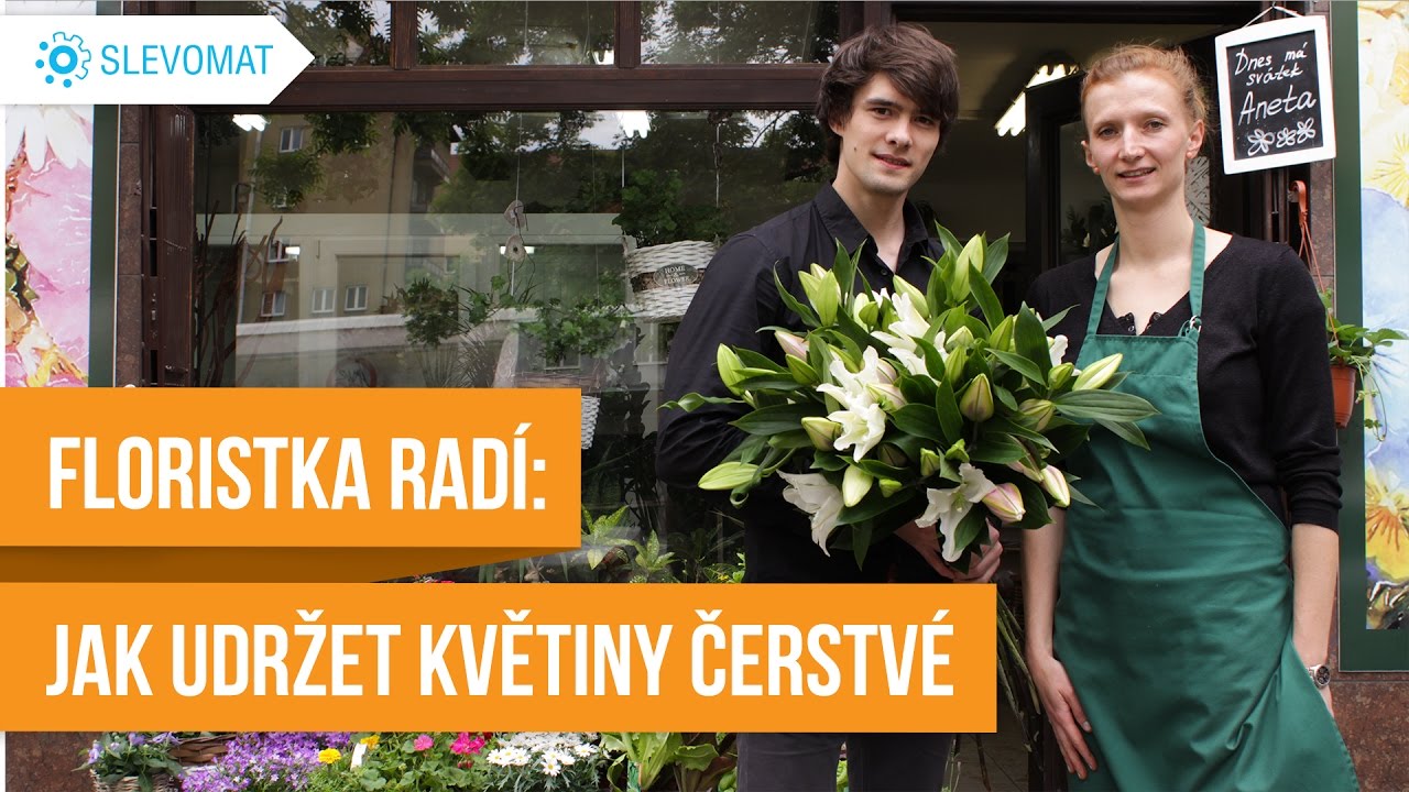 Květinářka radí: Jak pečovat o květiny, aby dlouho vydržely