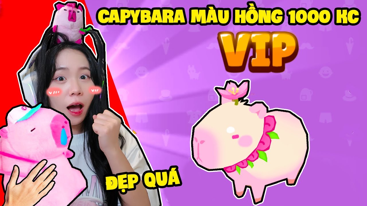 SAMMY TIÊU 1000 KIM CƯƠNG LẬT ĐƯỢC CAPYBARA MÀU HỒNG SIÊU HIẾM TRONG PLAY TOGERTHER