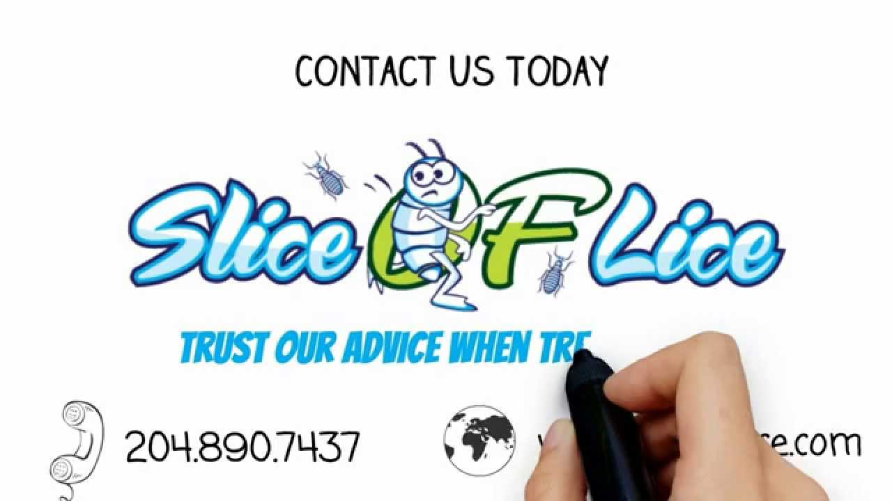 Slice of Lice Animation