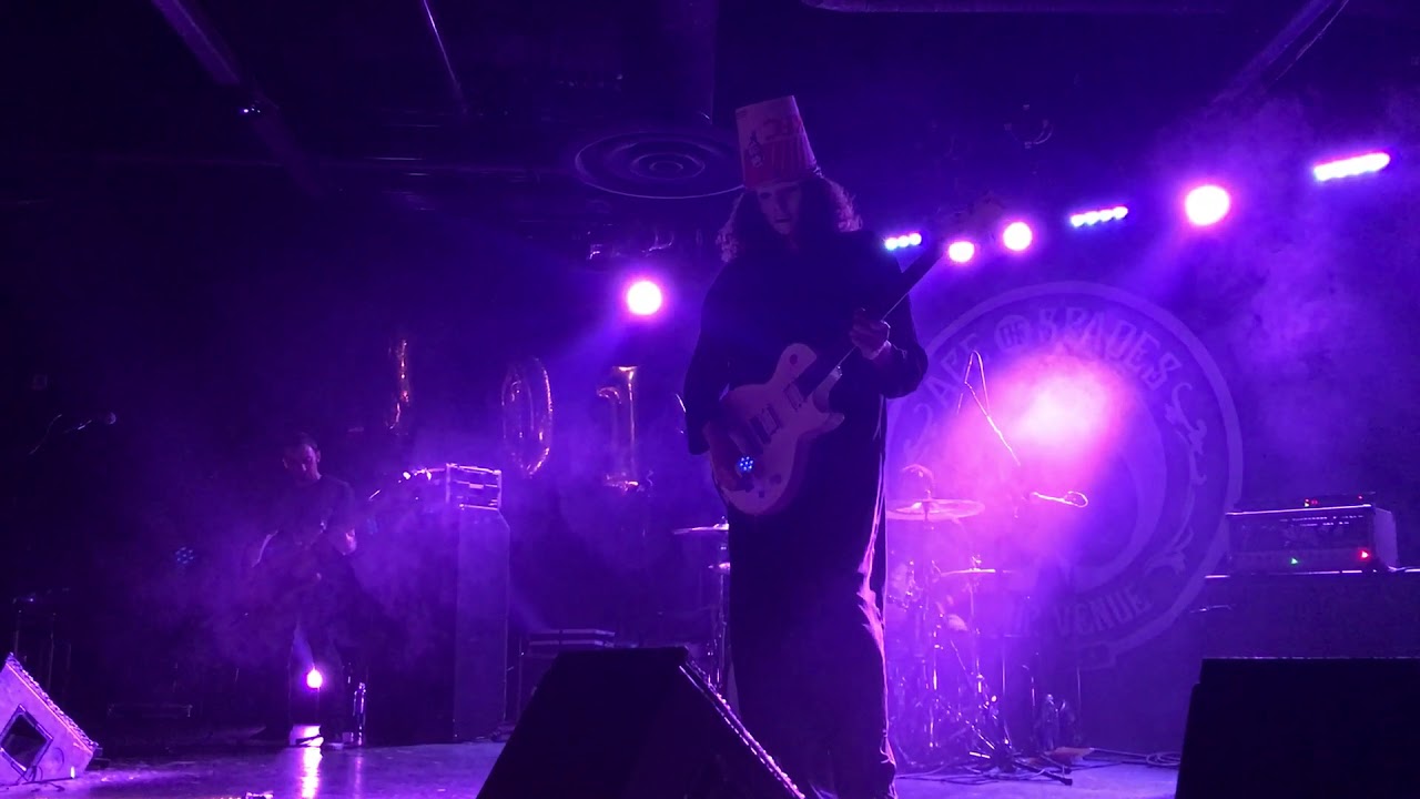 Best live version of Animal Behavior EVER!! New Years Eve 2017
