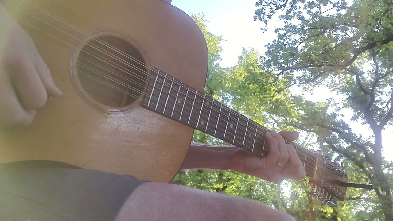 12 string morning jam on the Goya