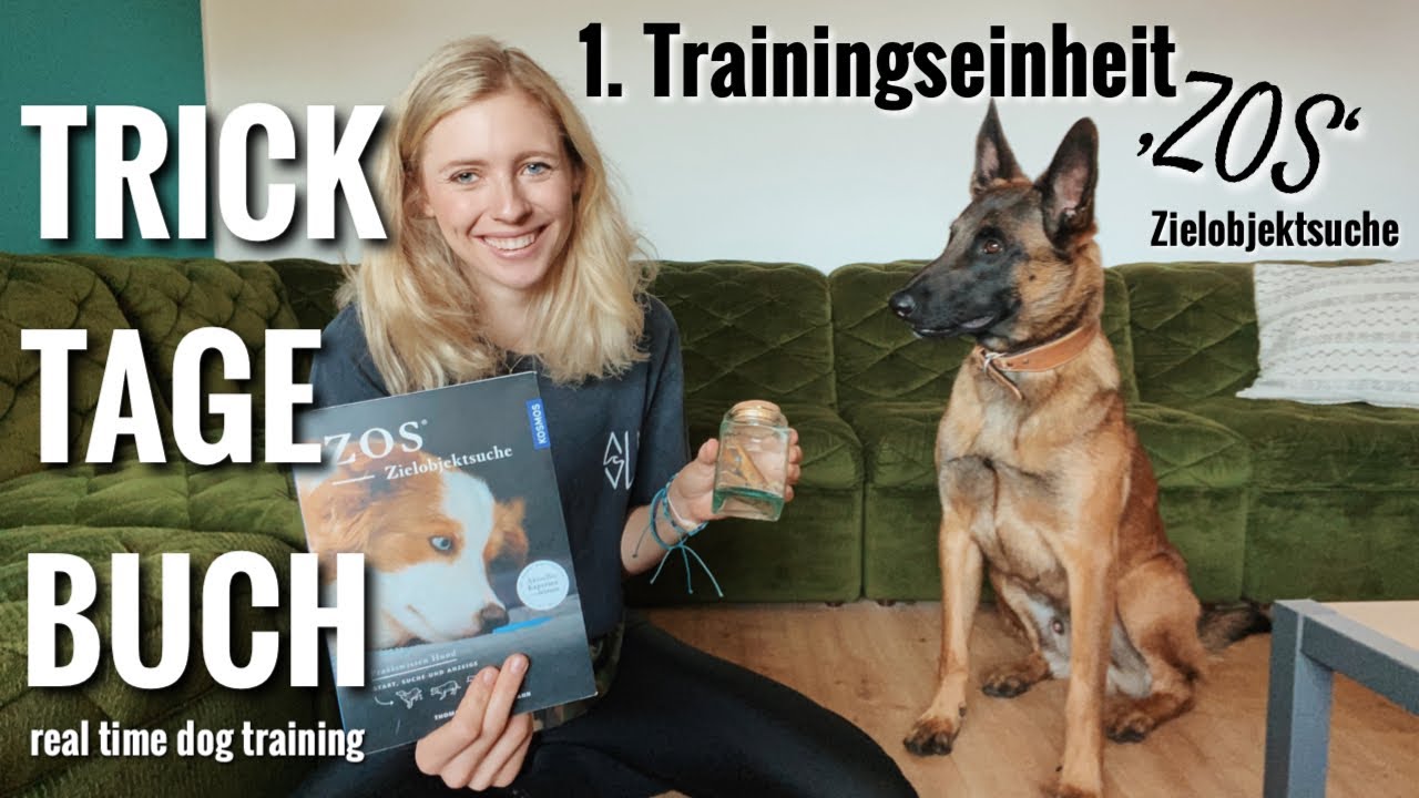 ZOS Zielobjektsuche 1. Einheit: Auflöseklick und Verstärkerklick - Tricktagebuch