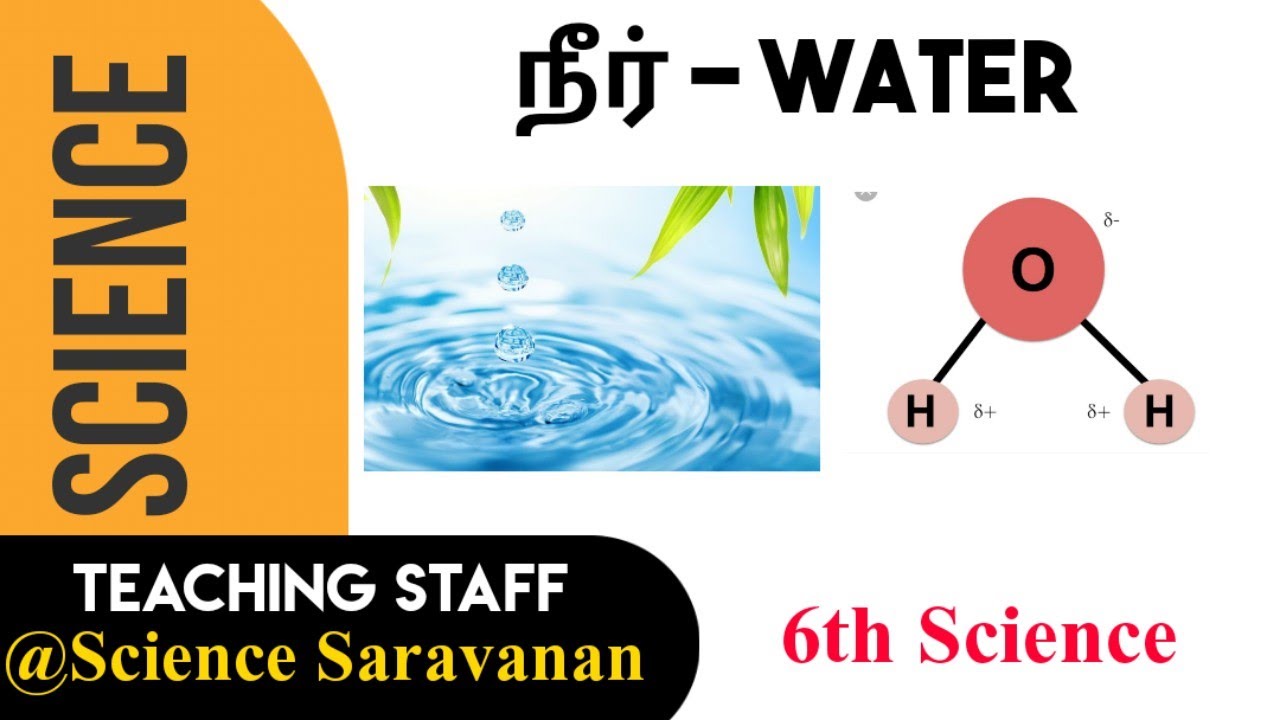 6th Science | நீர் | Water | Sais Academy