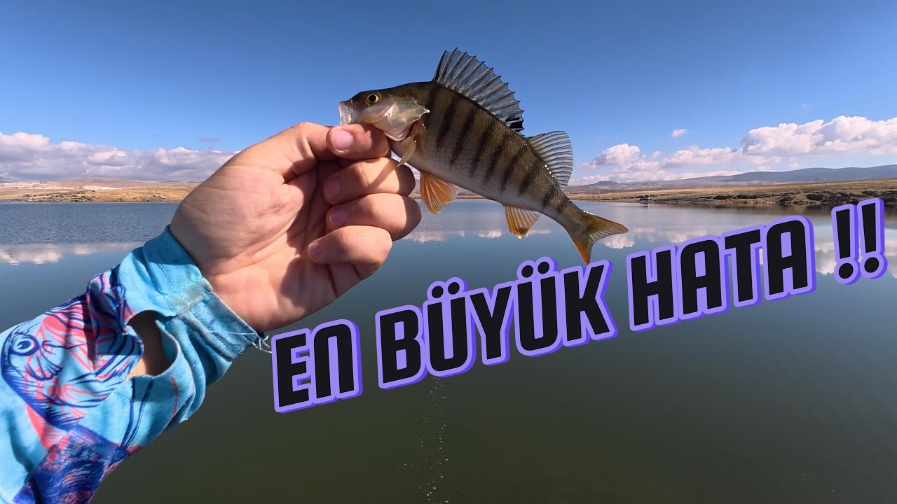 Balık Tutamıyorsanız Sebebi Bu Olabilir!