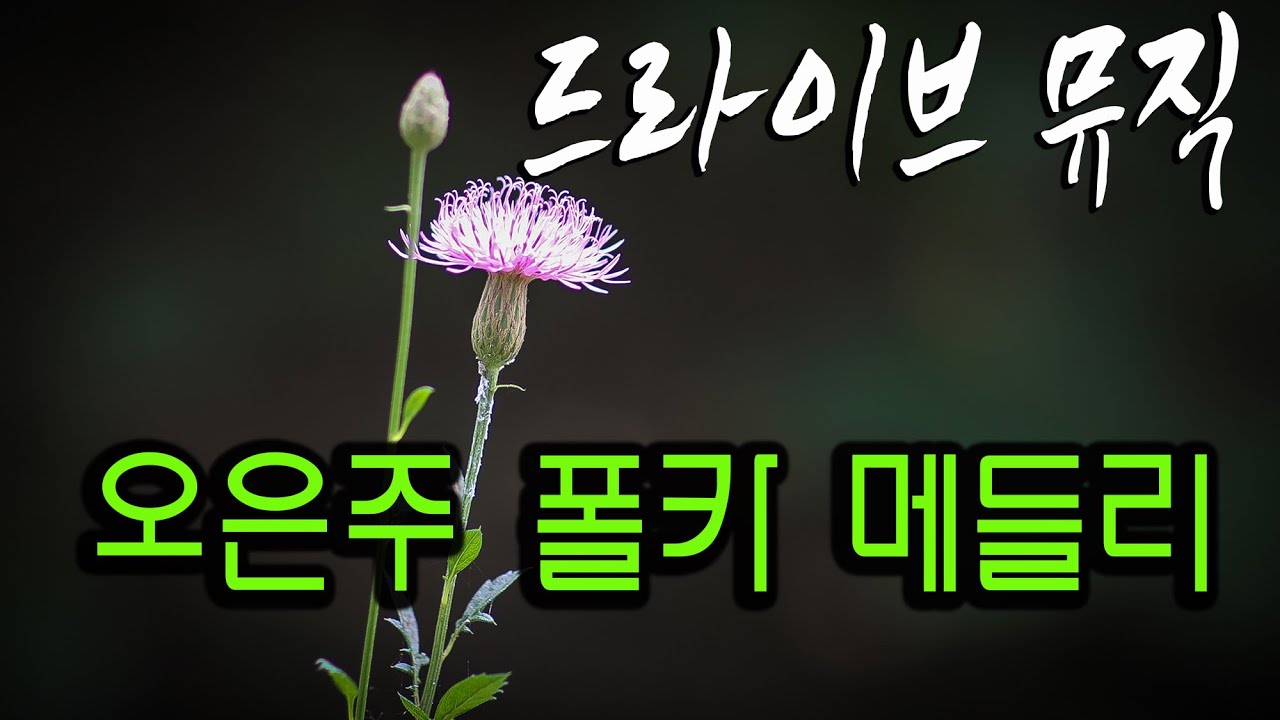 드라이브 뮤직(오은주 폴카 메들리))