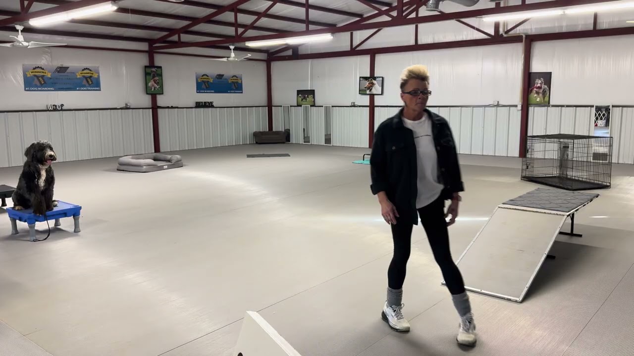 Sammy-Board and Train Program 