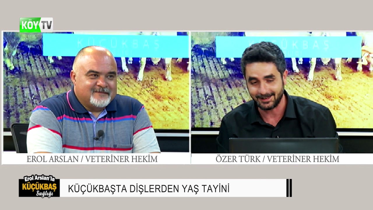 KÜÇÜKBAŞ SAĞLIĞI | Küçükbaşta Dişlerden Yaş Tayini - 2. Bölüm