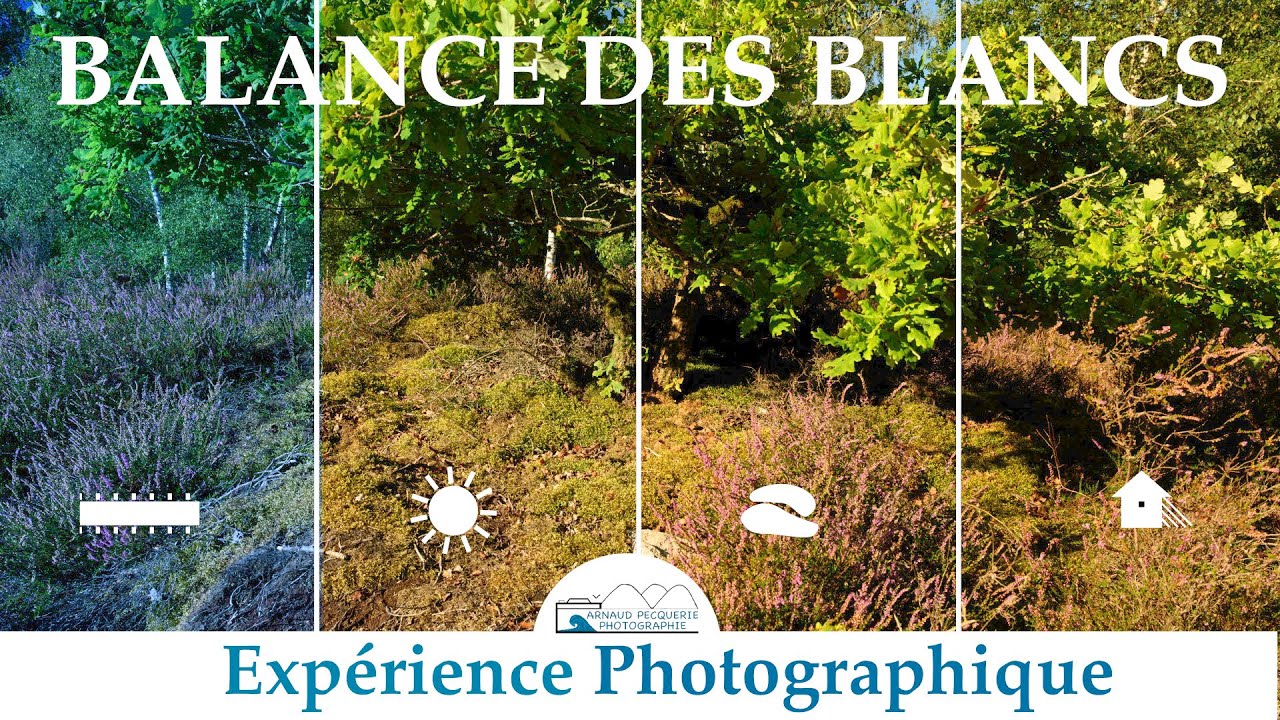 Comment régler la balance des blancs?| Tuto Photographie