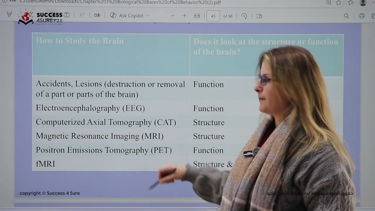 The Brain  Part 1 (AP Psychology)