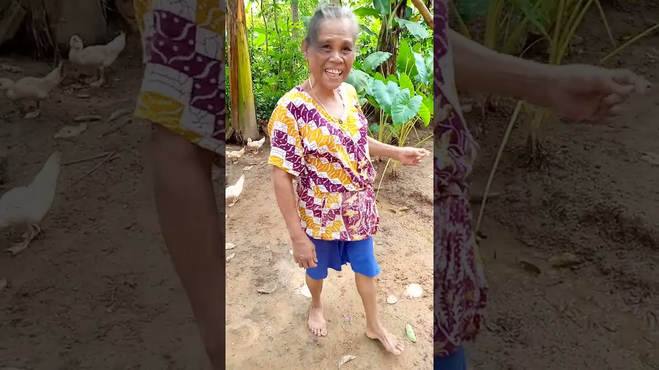 Melihat kelapa ketempat Mbah yang tinggal seorang diri