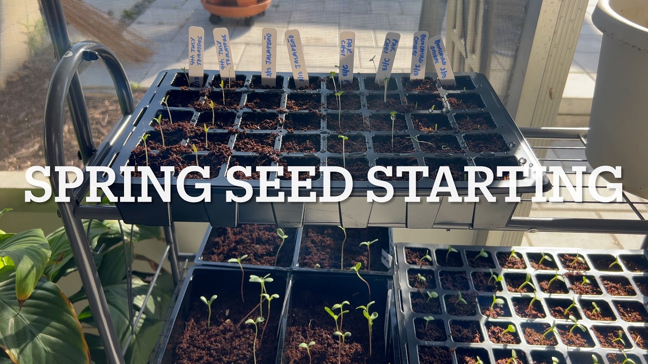 Episode 3: Spring Seed Starting ASMR February 19, 2026