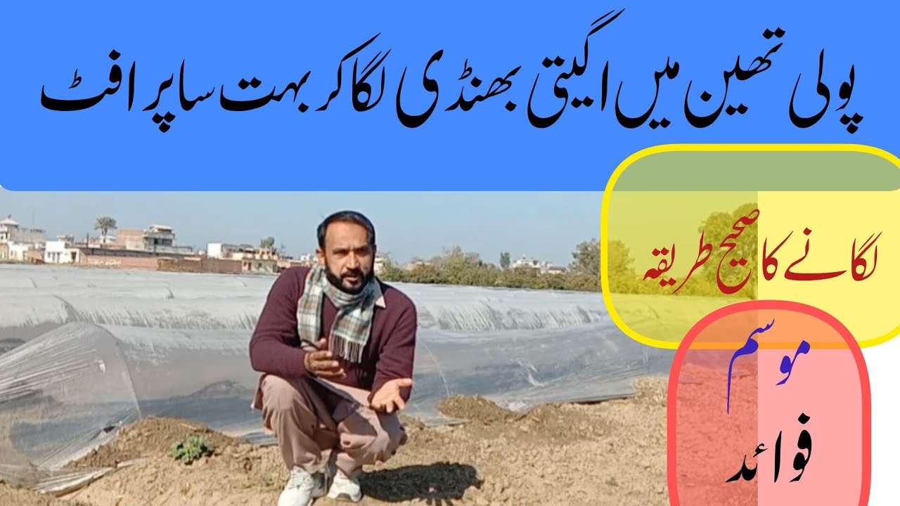 Ladyfinger but before it's season 🤔| But how ..? | Step by step| Polythene farming | Profit booster😀