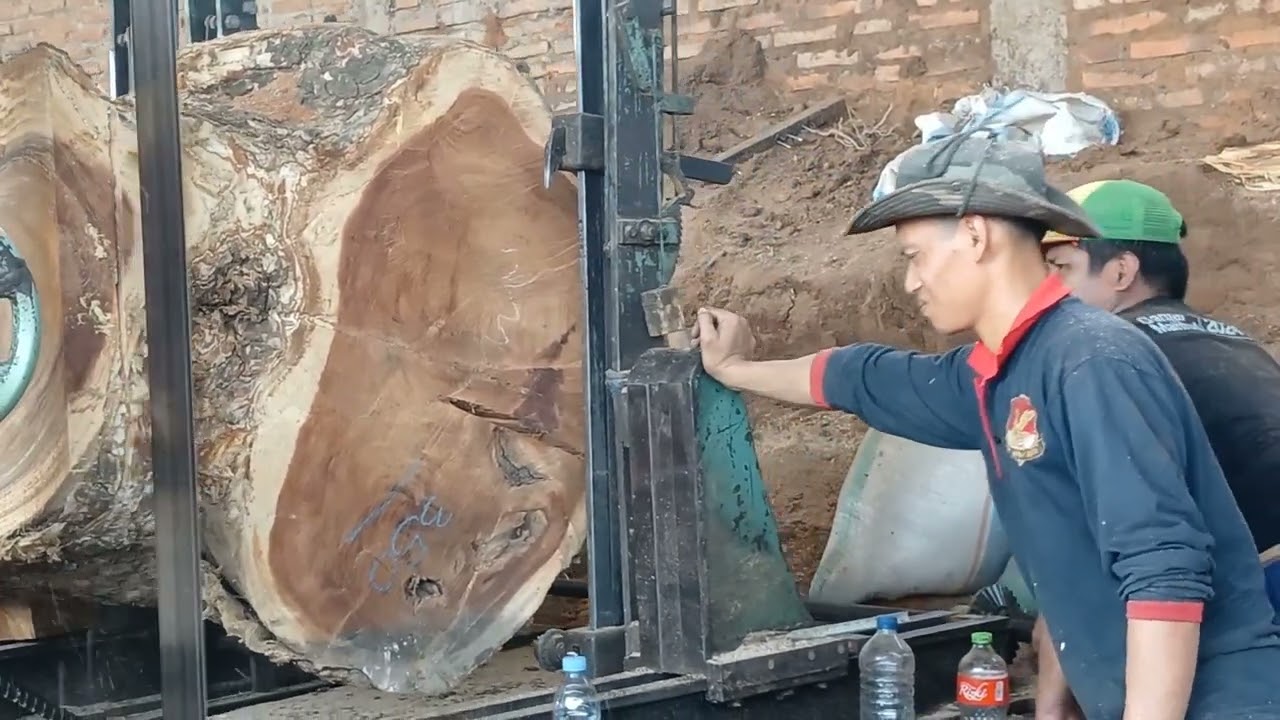 Large Wood Cuts For Luxury Tables