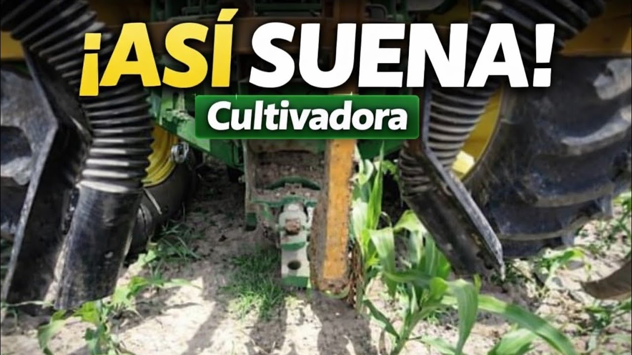 ASMR TRACTOR Trabajando CULTIVADORA FERTILIZADORA de Maíz 4 surcos JOHN DEERE, Cultivadora de Maíz