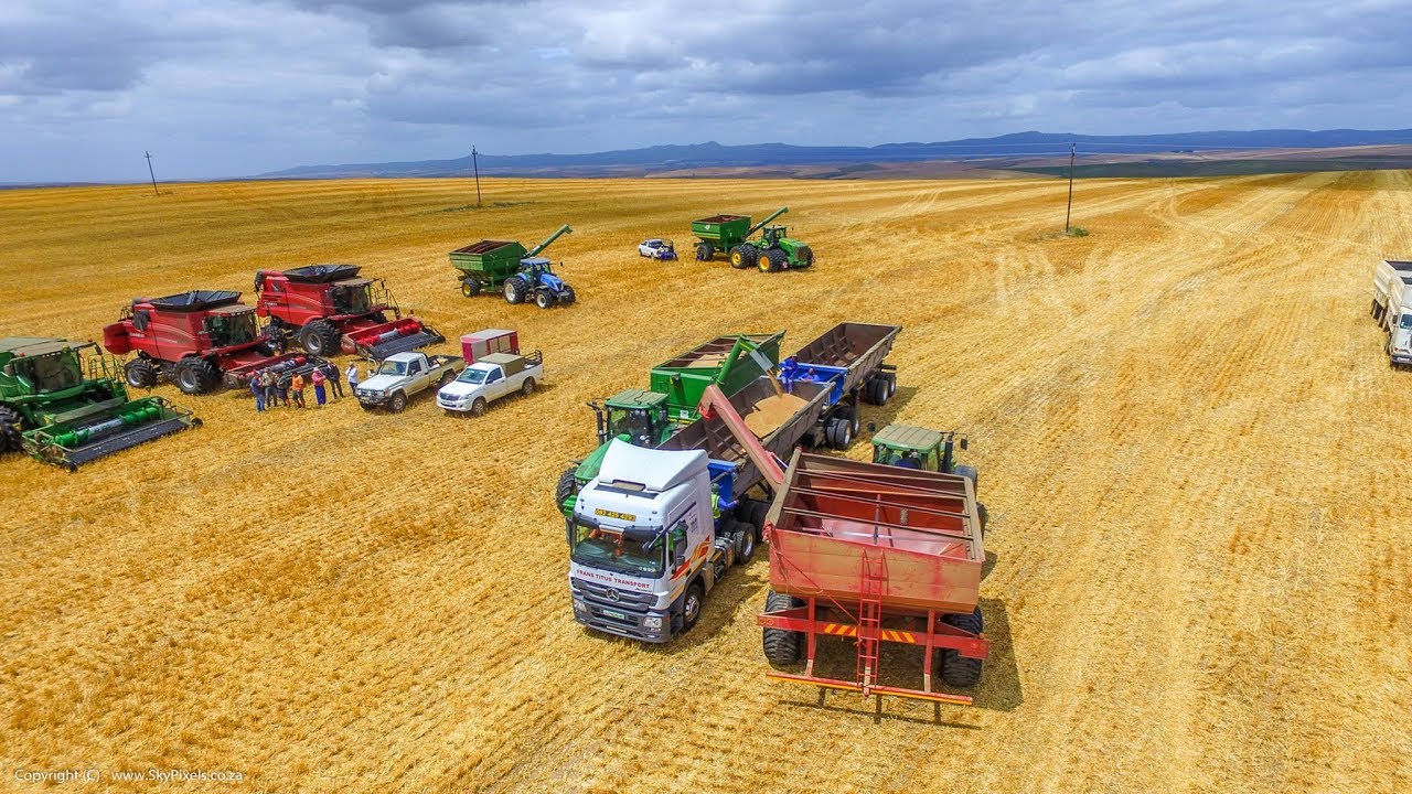 Klipdale 20 Trucks & Harvesters