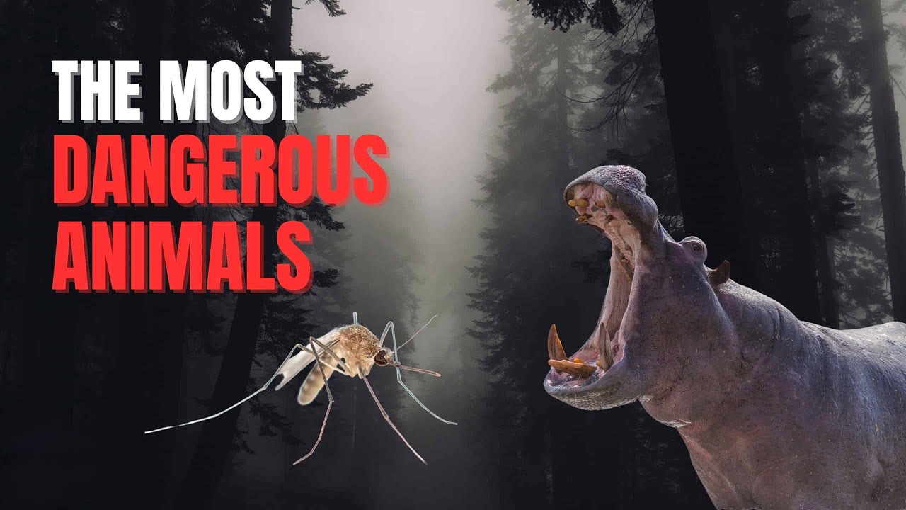 Top 10 Most Dangerous Animals on Earth 