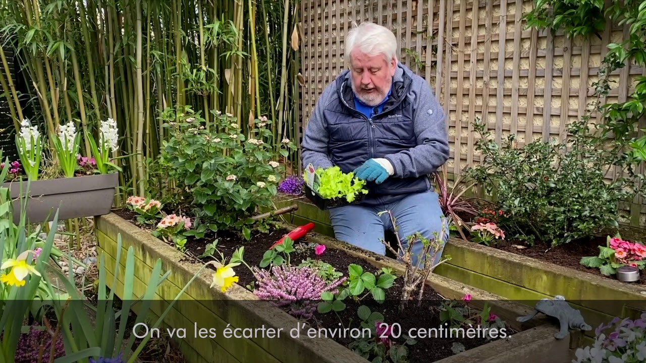 Quels fruits et l&eacute;gumes planter au mois de mars ?