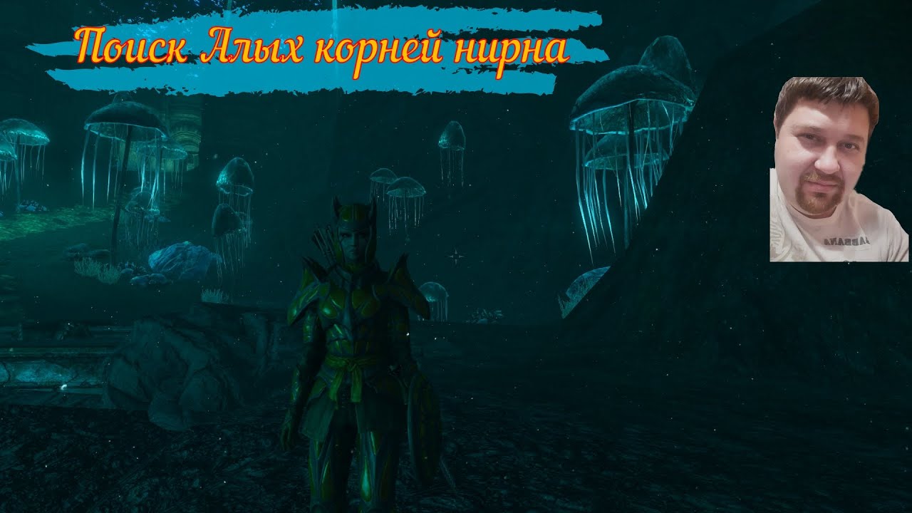 квест возвращение к корням / алые корни нирна / Skyrim Anniversary Edition 44 серия