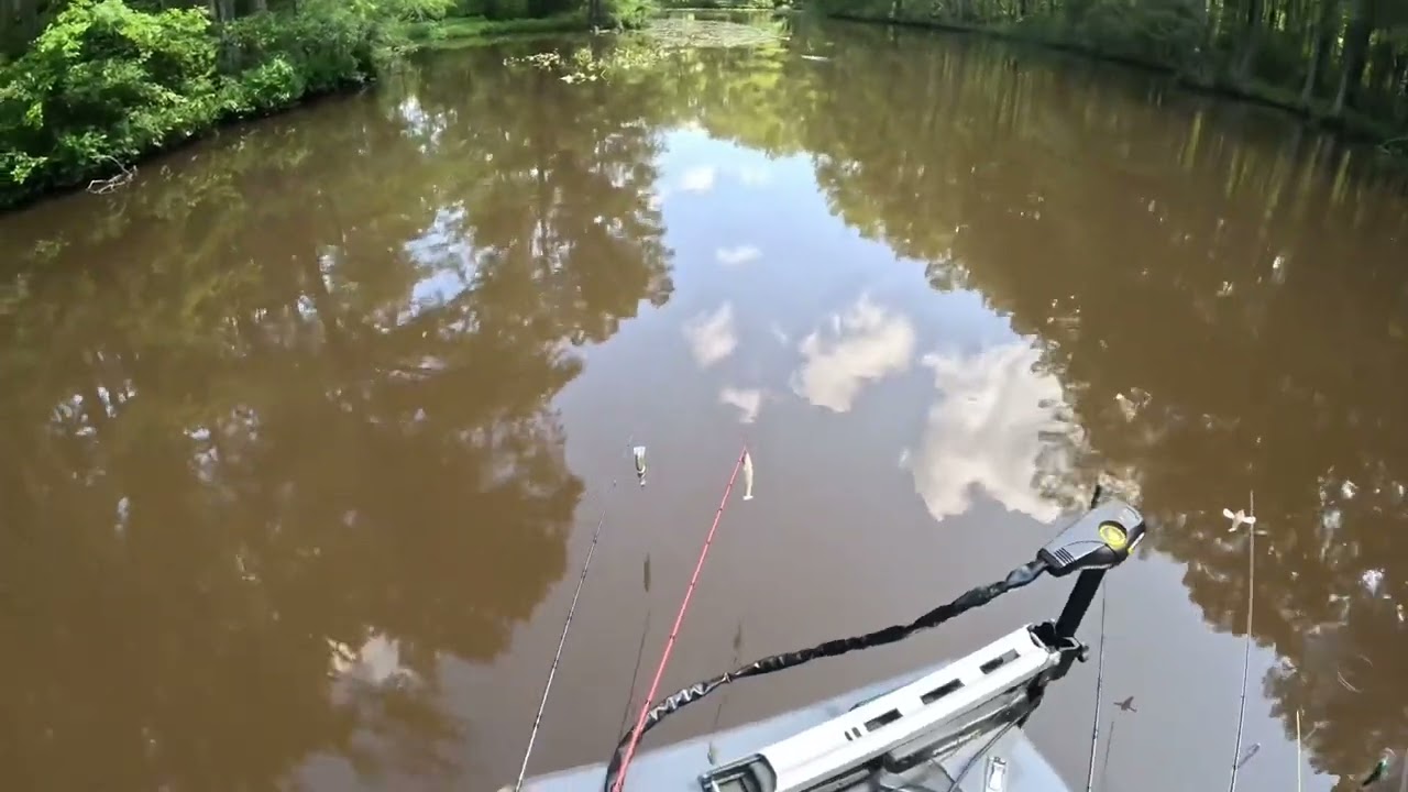 The Chick Lake river monster what is it? Chickahominy river what is this? Virginia bass fishing