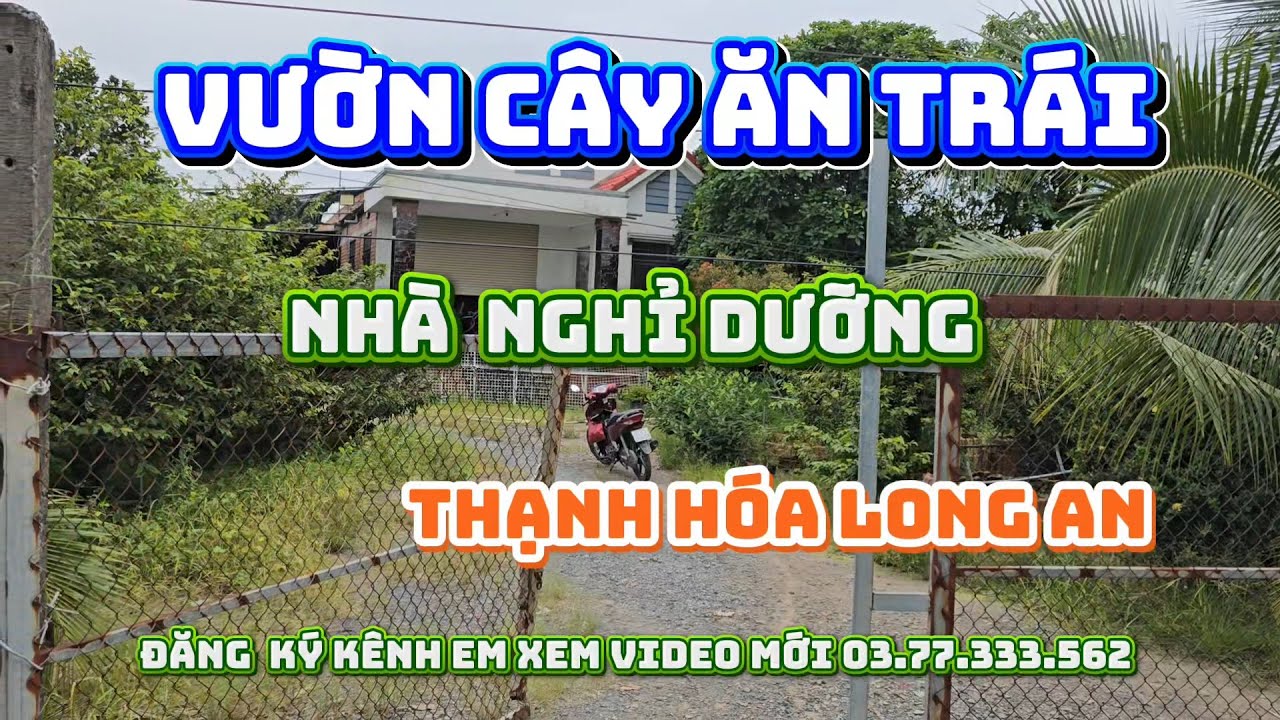 Bán  căn nhà vườn thạnh hóa long an, vườn  dừa  sai  trái, 15 công đất giá  350tr/c,