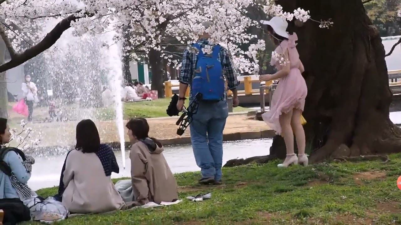 Windy Dress in Japanese Park