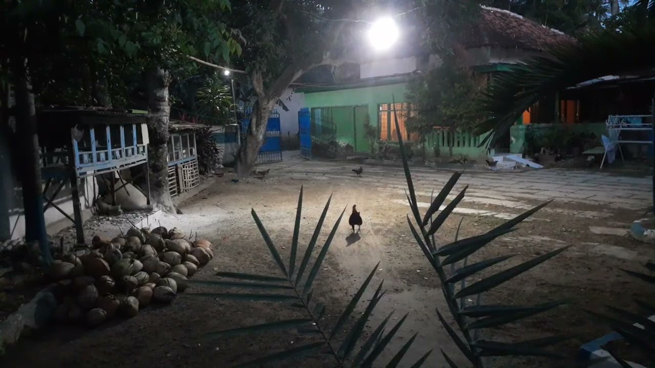 ASMR Morning atmosphere in an Indonesian village