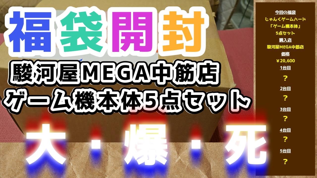 あきれるくらいの大爆死、もうここでは二度と買わないかも。駿河屋MEGA中筋店 ゲーム機本体5点セット福袋 20000円 開封動画