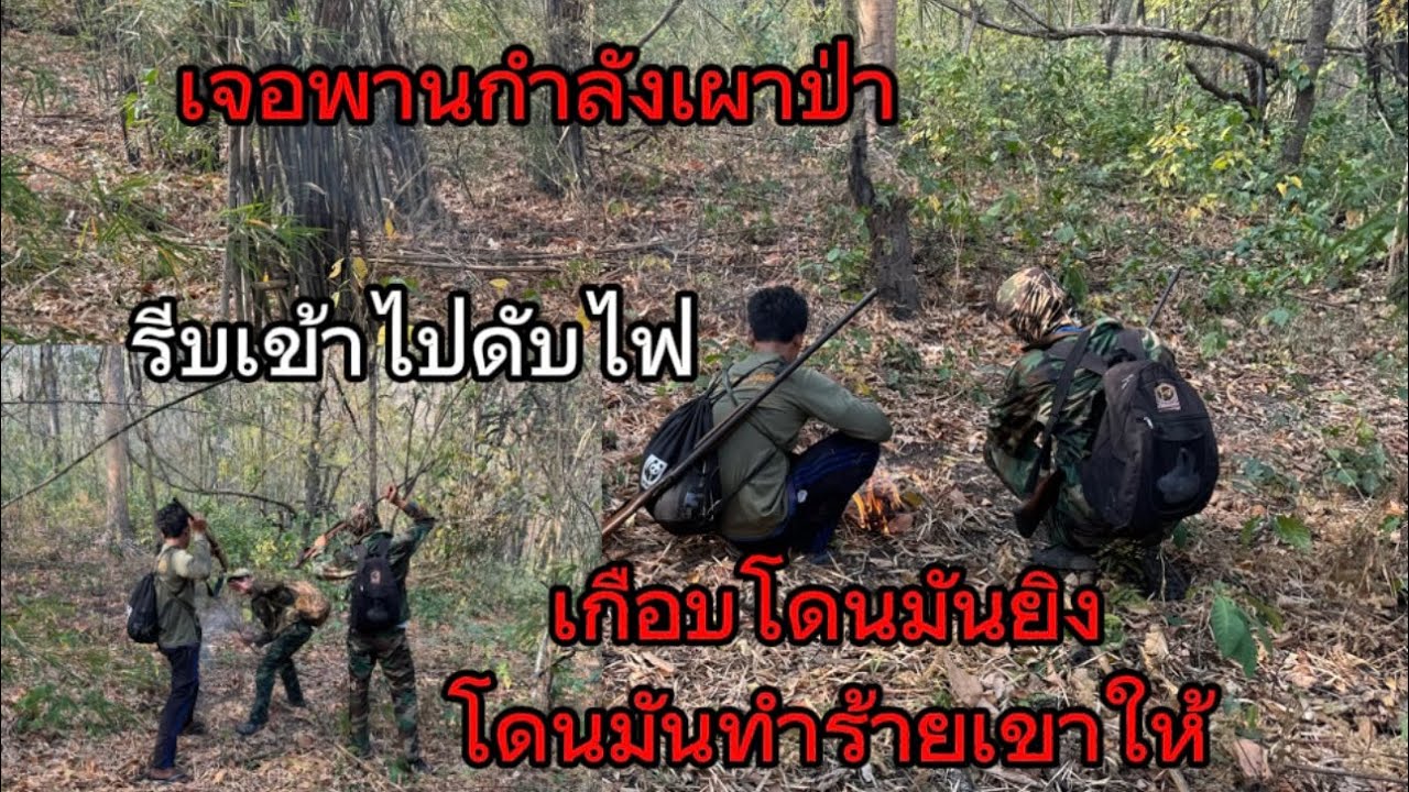 เอาชีวิตรอดป่าพม่า“ เผชิญหน้าพราน” มันกำลังเผาป่า.? โดนมันเอาปืนไล่ยิง.!
