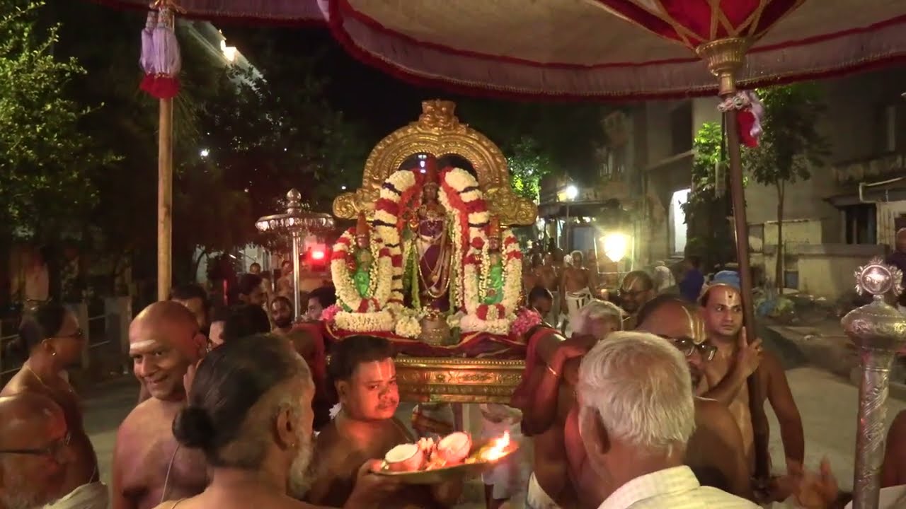 Kanchi Varadarajan - Pallava Uthsavam 2024 - Day 04 - Part 03 (4K)_ 28m 35s