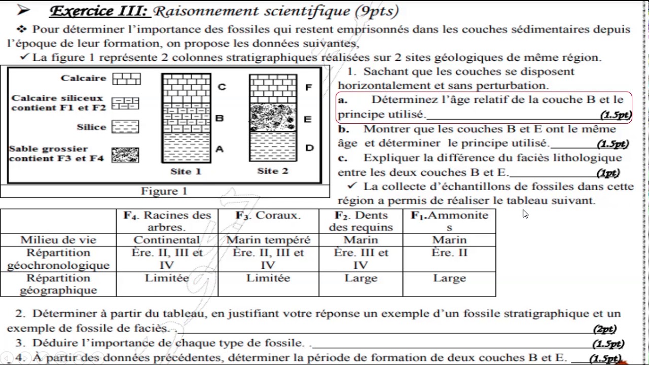 Exercice 2 :  la datation relative-les fossiles stratigraphiques/facies et le pro cipe de continuite