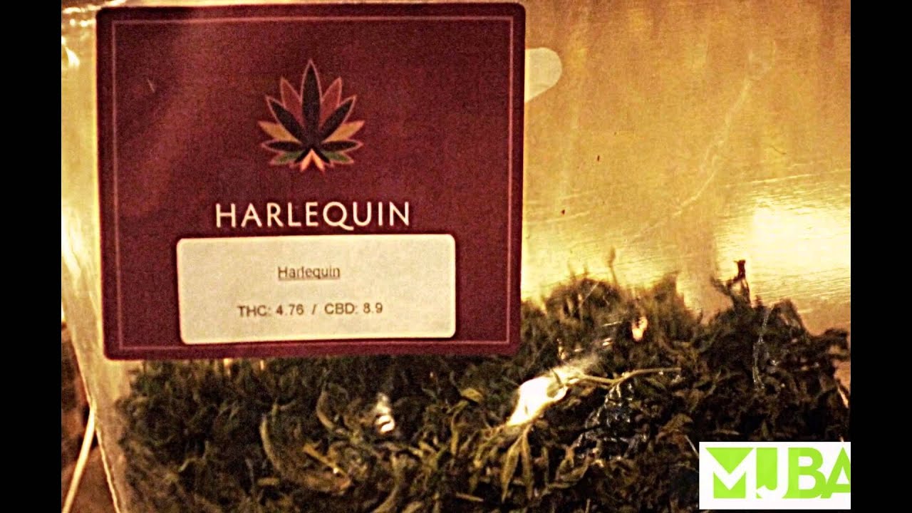 Cannabis Conversation and Cooking with Chef Marco Hoffman
