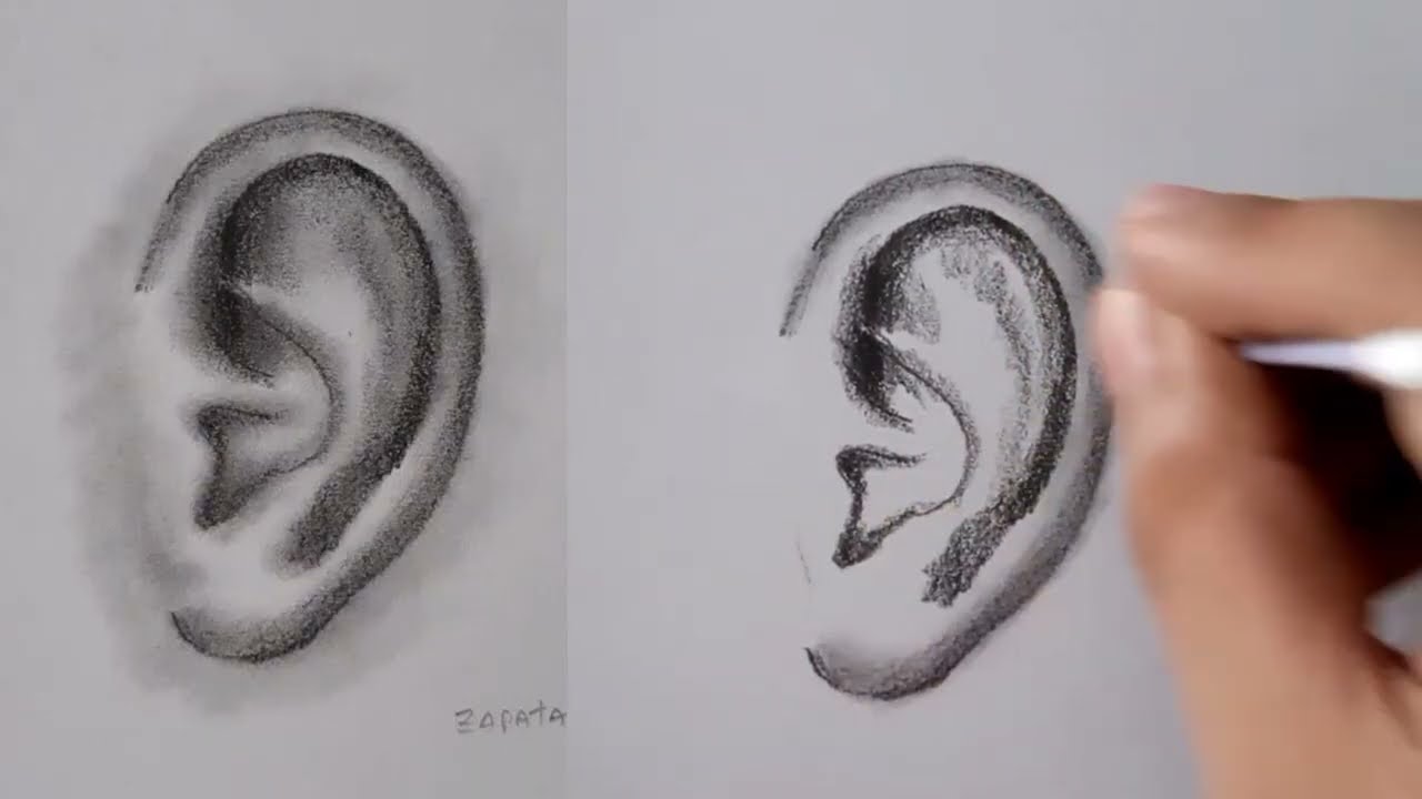 How to Draw Ears: Step by Step