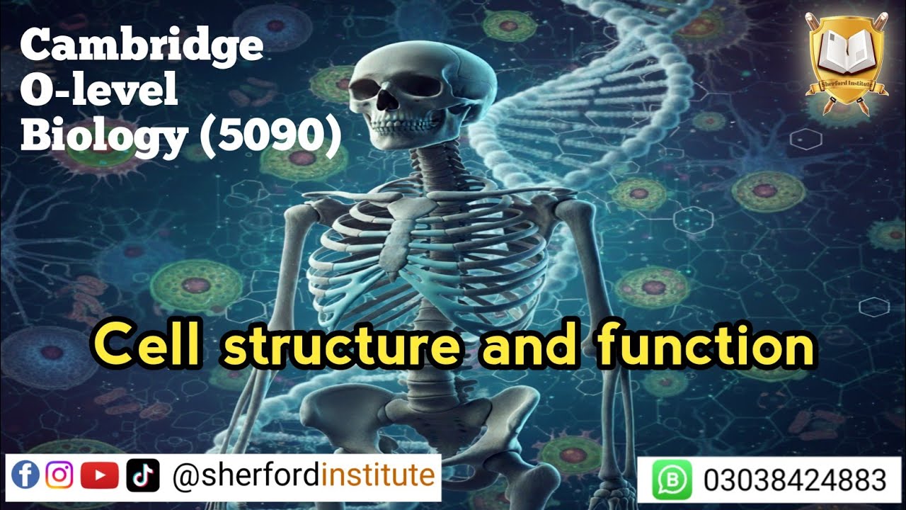 Cells | Cell structure and function | O-level Biology (5090)