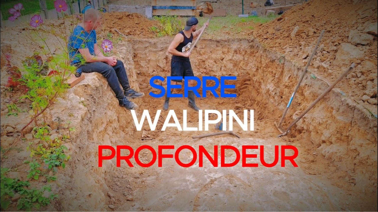 WALIPINI Projet Fou ?