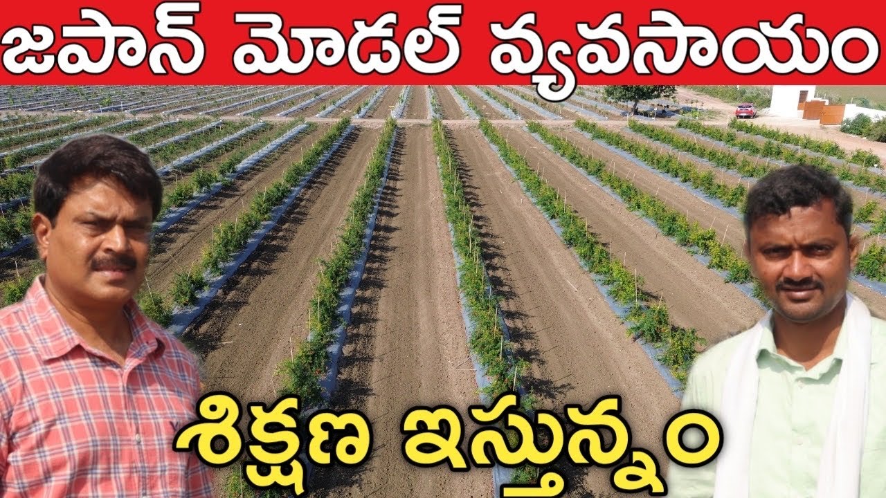 83 ఎకరాల్లో 15 తోటలు | Japan Model Farming | రైతు బడి