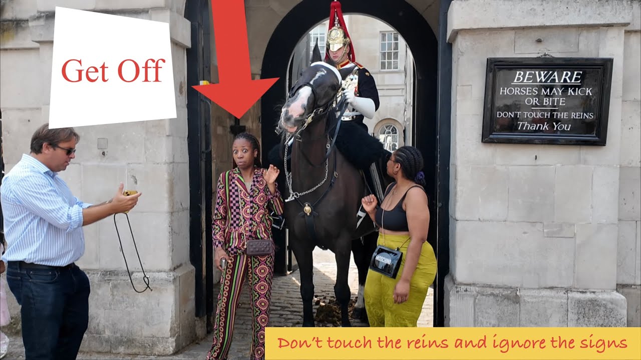 SHOCKING MOMENTS!!! Disrespectful tourists Provoked and Messed the king’s guard!!!